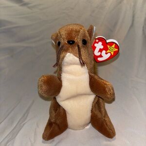 Vintage Ty Beanie Baby Squirrel. Nuts. 1996.